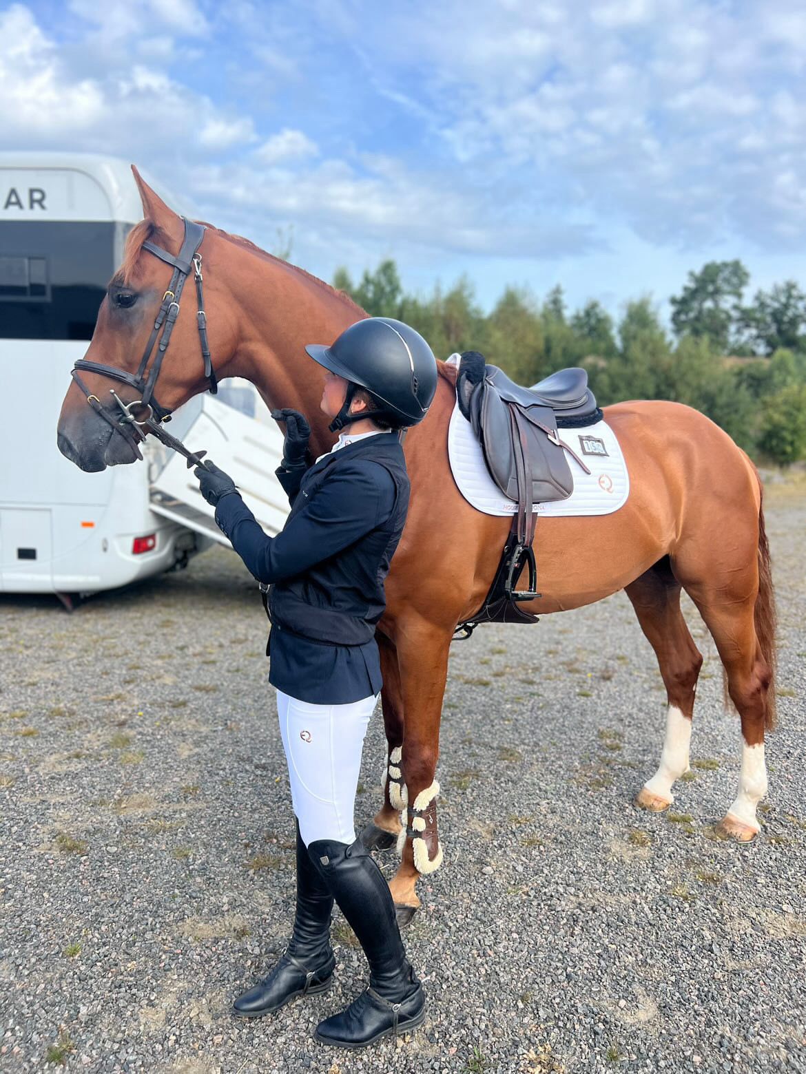 Competition Saddle Pad - Vit