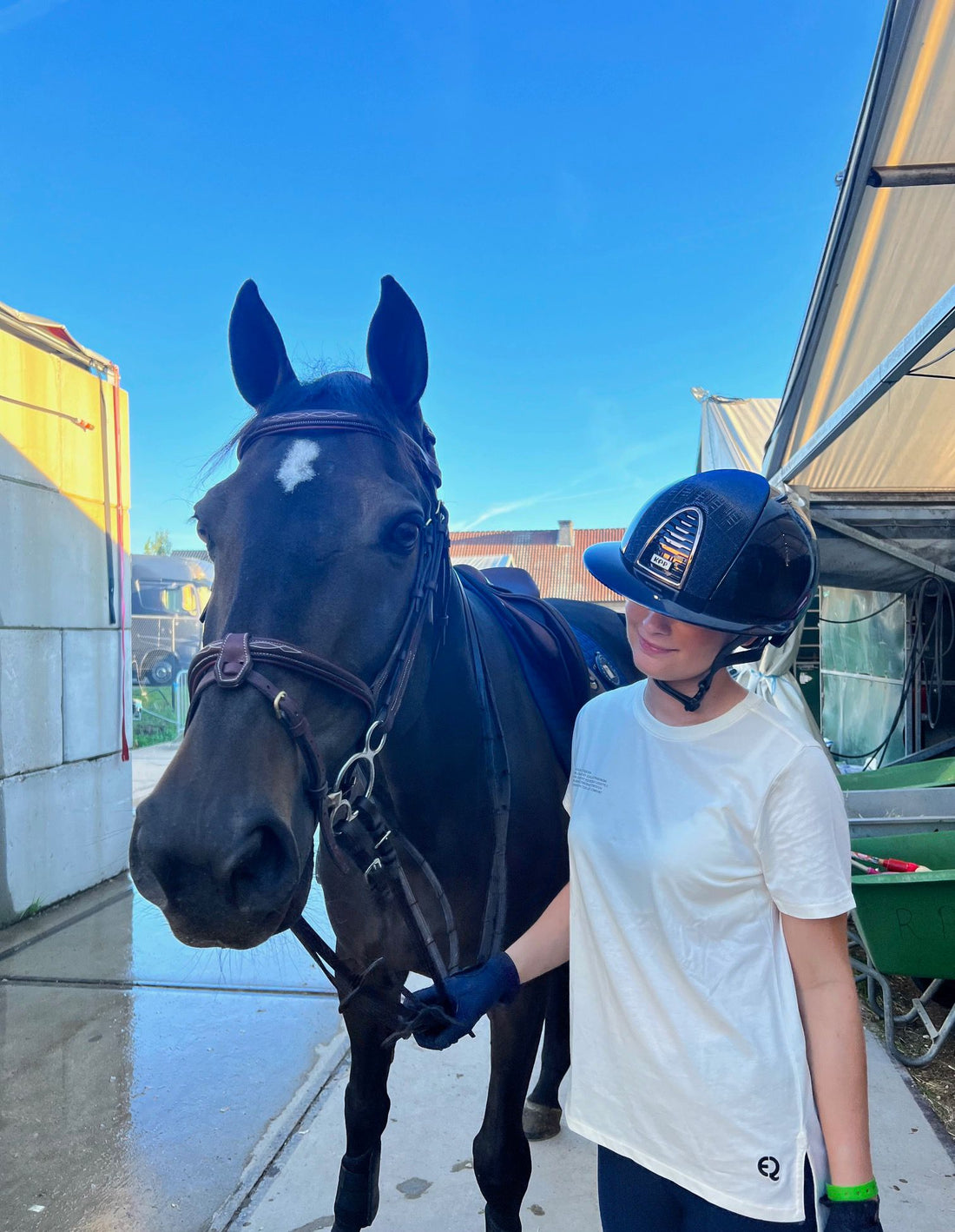 Eqona Icons - Emilia Liljegren