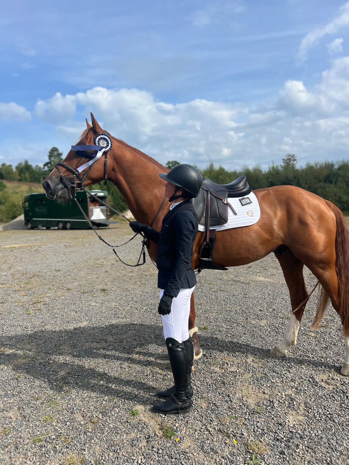 Competition Saddle Pad - Vit