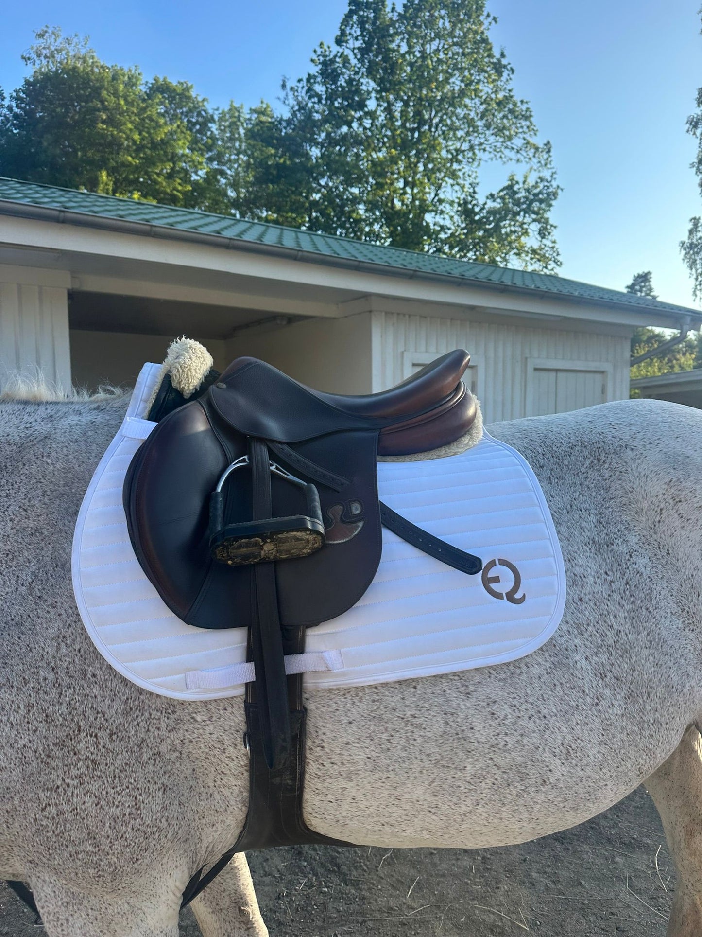 Competition Saddle Pad - Vit