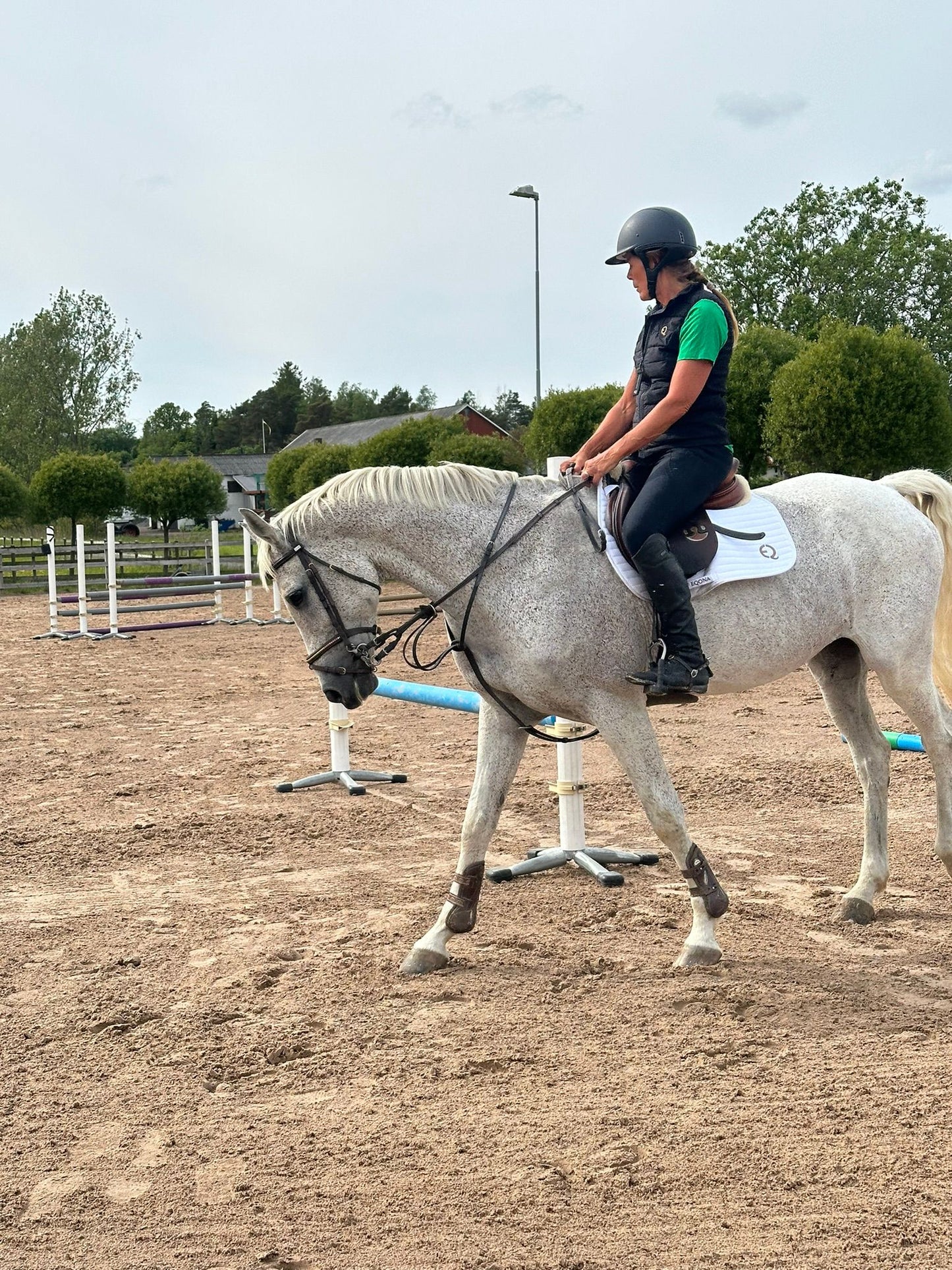 Competition Saddle Pad - Vit