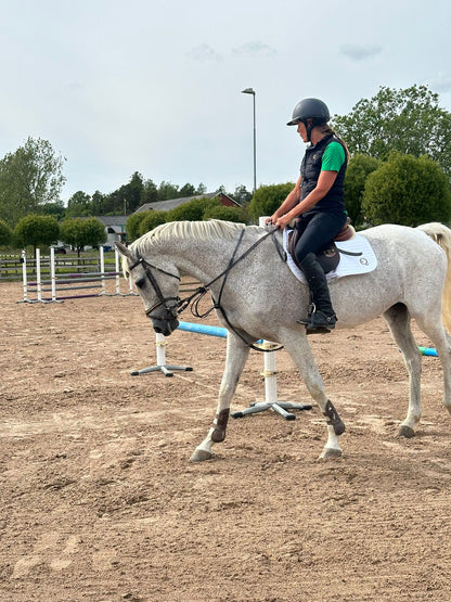 Competition Saddle Pad - Vit