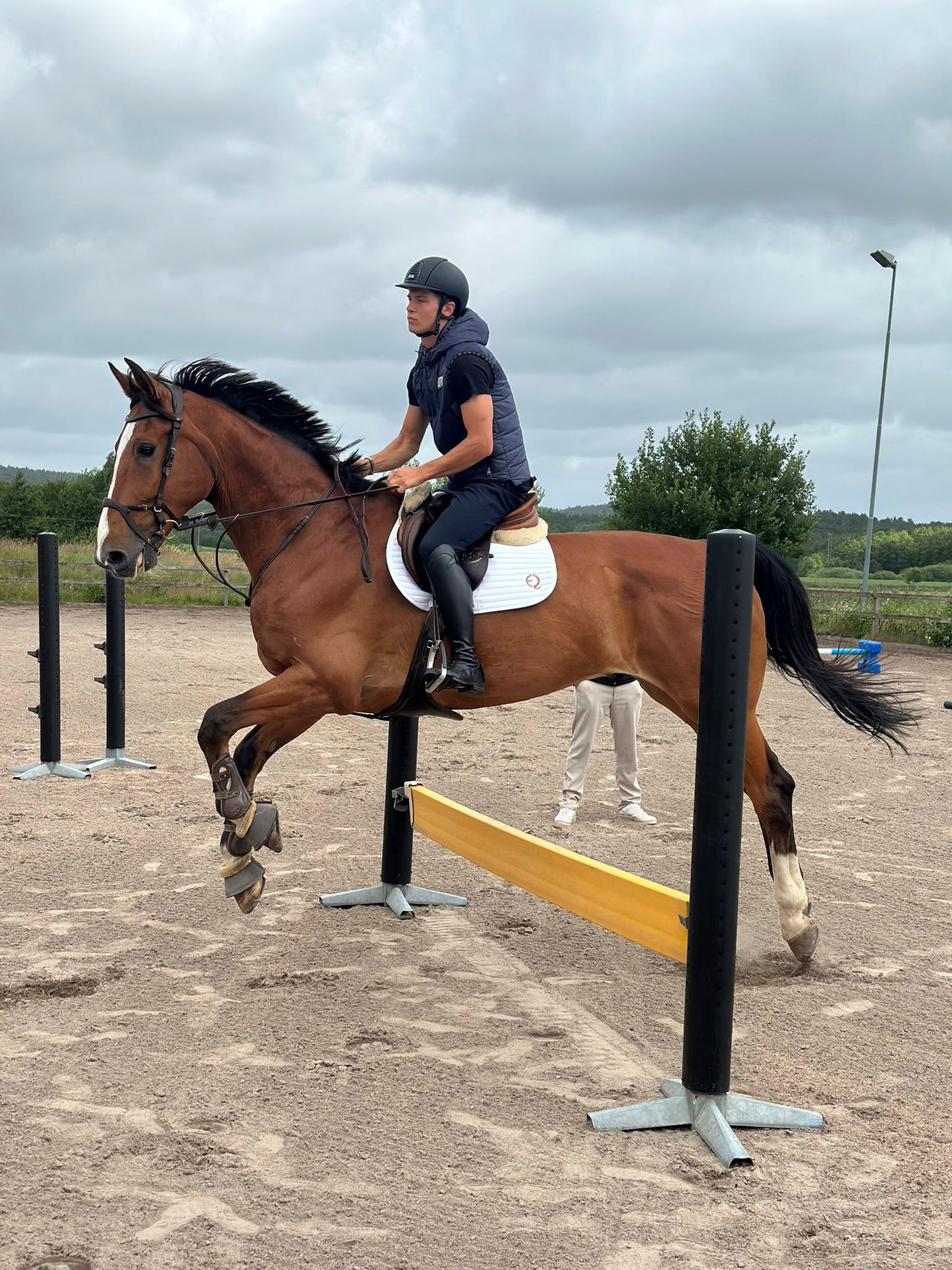 Competition Saddle Pad - Vit