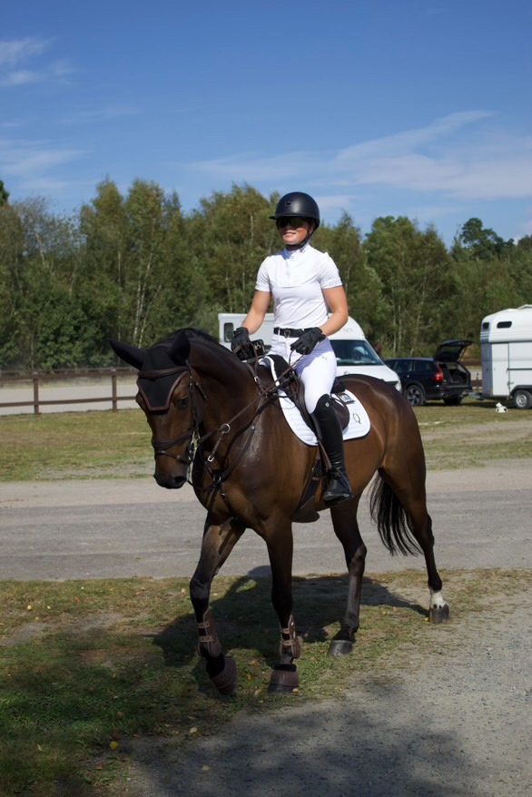 Eqona Competition Set Dam