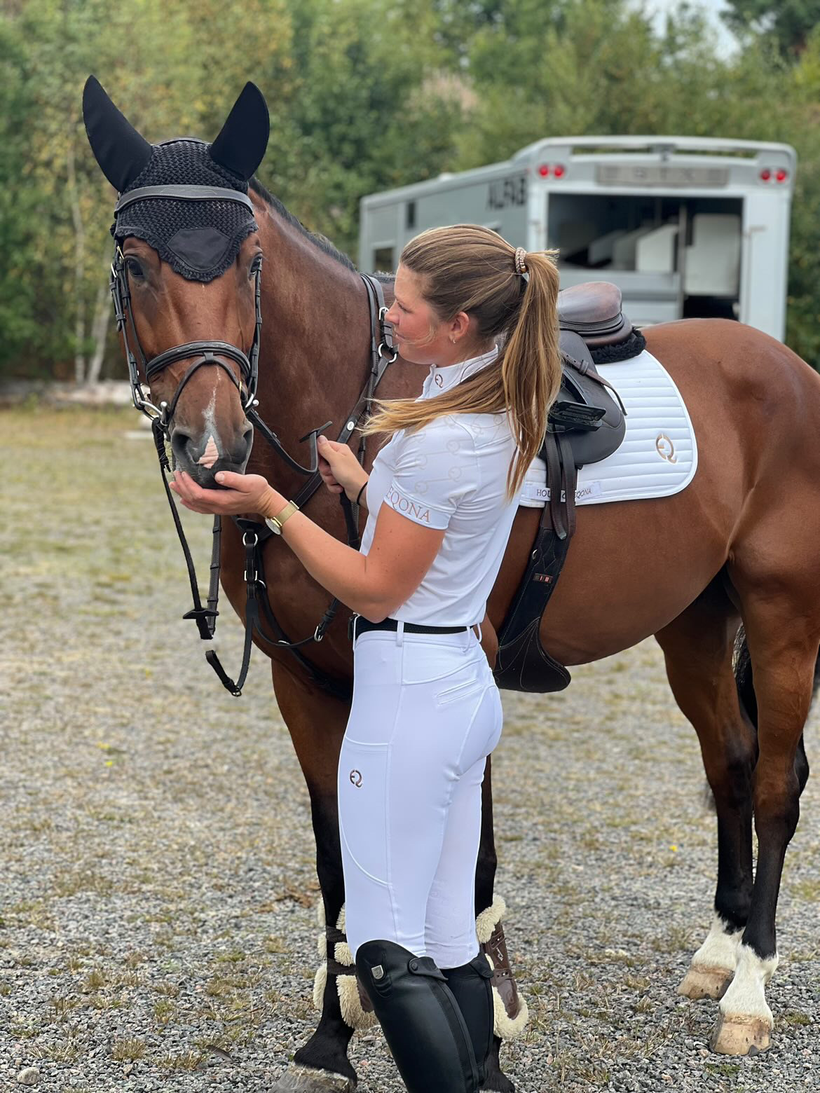 Eqona Competition Set Dam